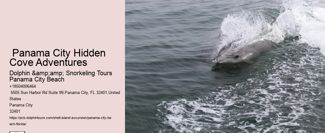  Best Shell Island Tours