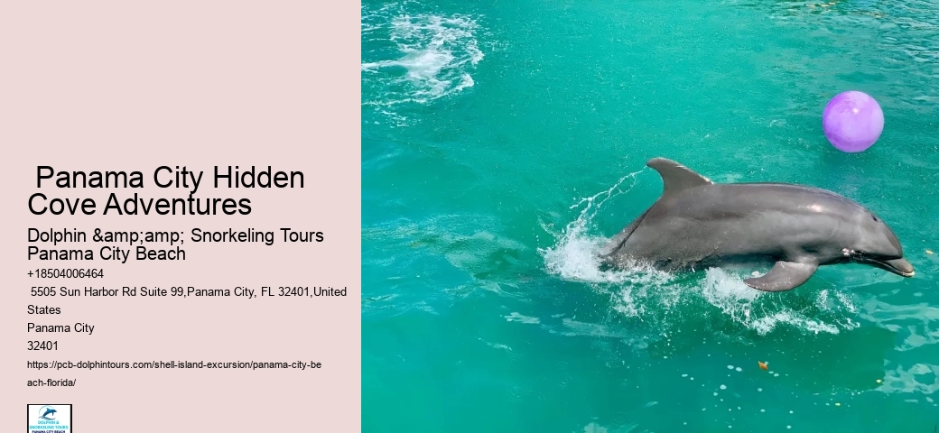  Shell Island Wildlife Tours FL