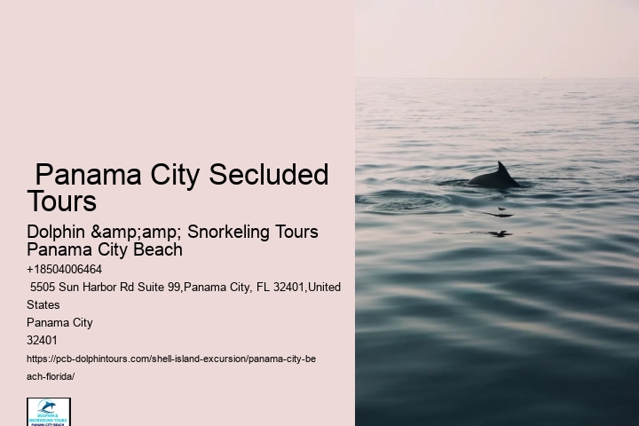  Shell Island Day Trips Florida