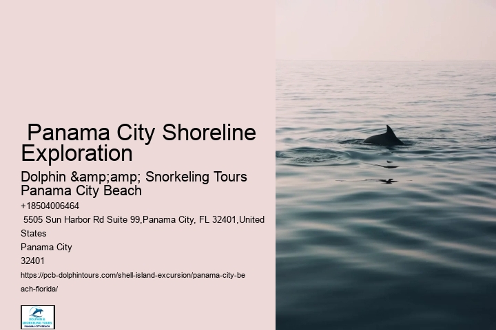  What Shells Are Illegal To Collect In Florida