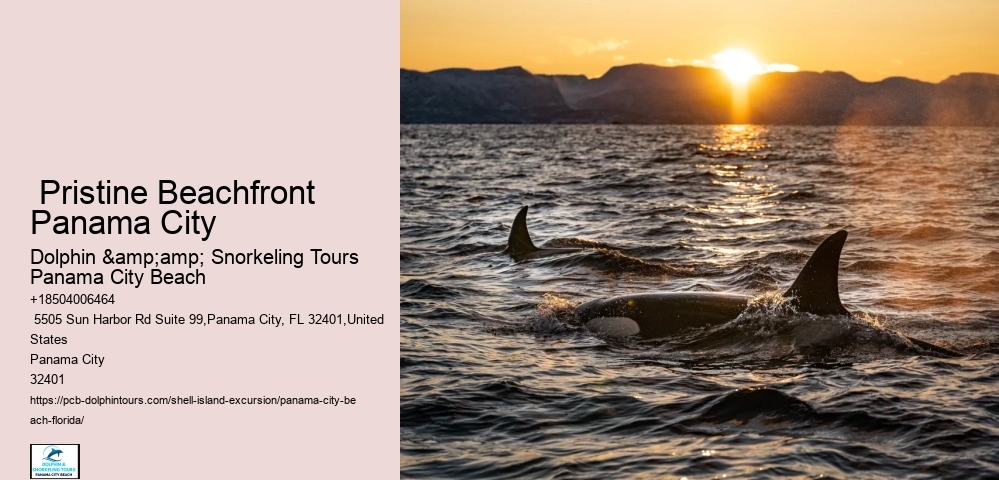  Shell Island Boat Tours Panama City Beach Fl