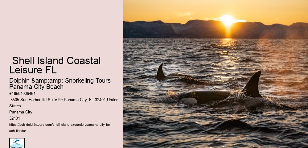  Secluded Panorama Shell Island Excursions