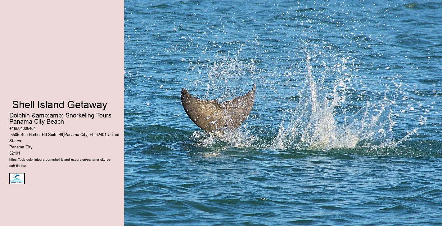  Panama City Beach's Shell Island | Pcb Dolphin Tours & More