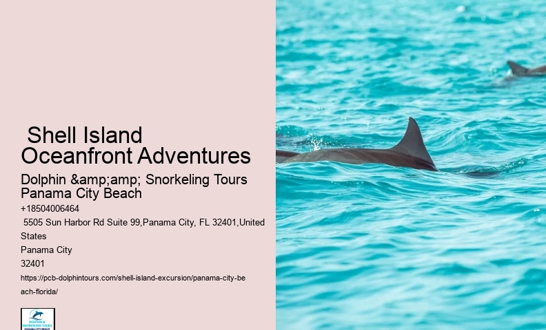  Is Shell Island Worth The Trip