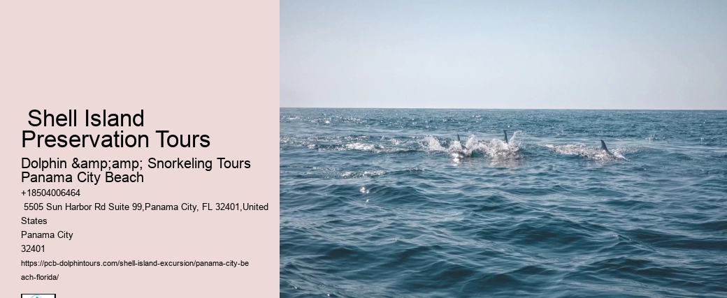  Best Dolphin Tour