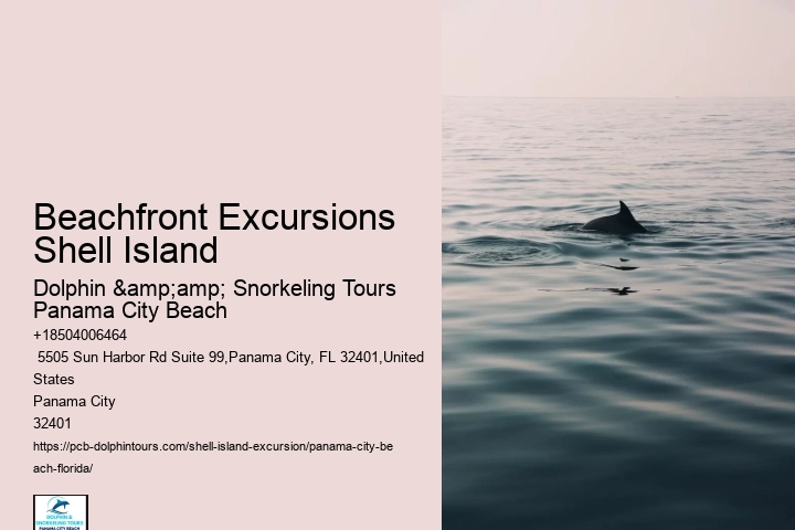 Shell Island Natural Habitat Tours