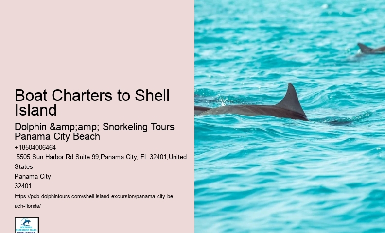  Shell Island Coastal Marvel Excursions