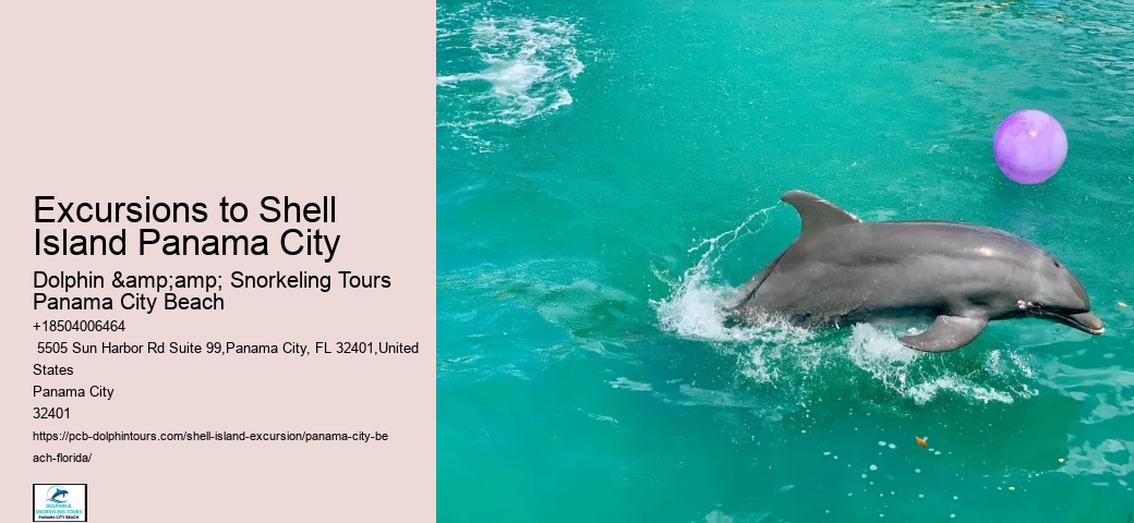  Shell Island Tours