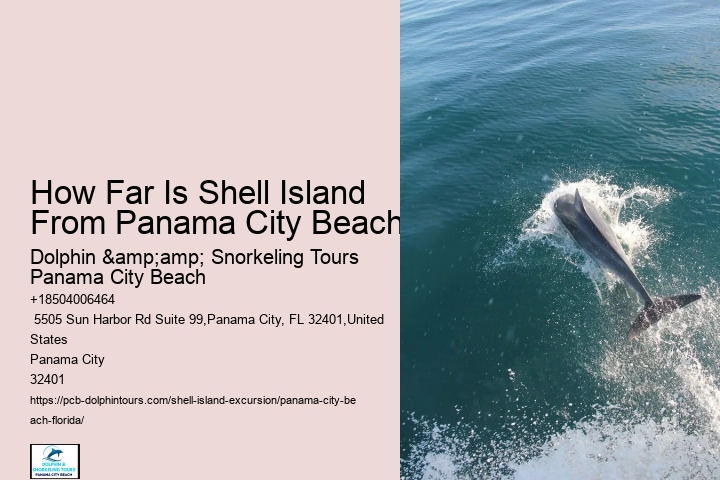  Hour Shell Island