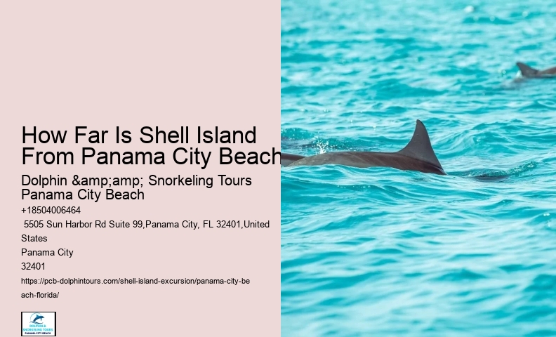  Is Shell Island Worth The Trip