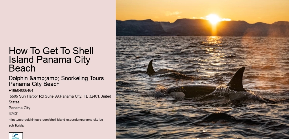  Shell Island Coastal Odyssey Panama City