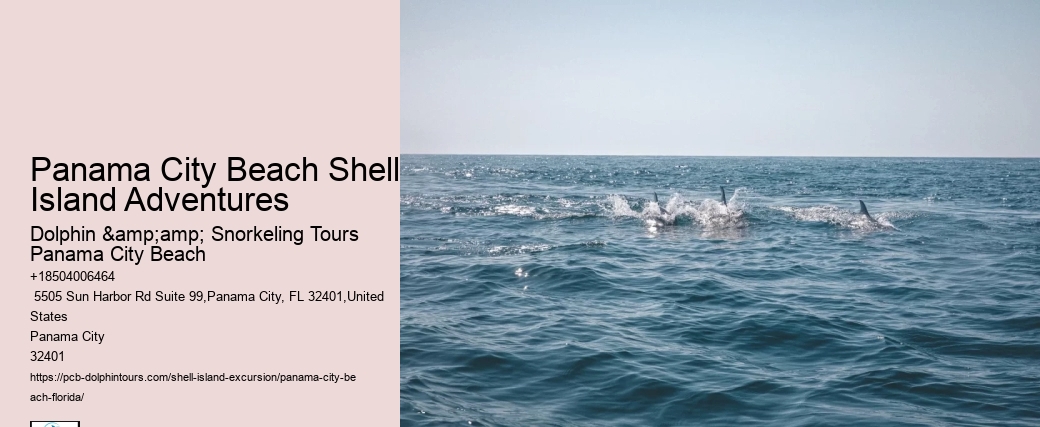  Who Owns Shell Island