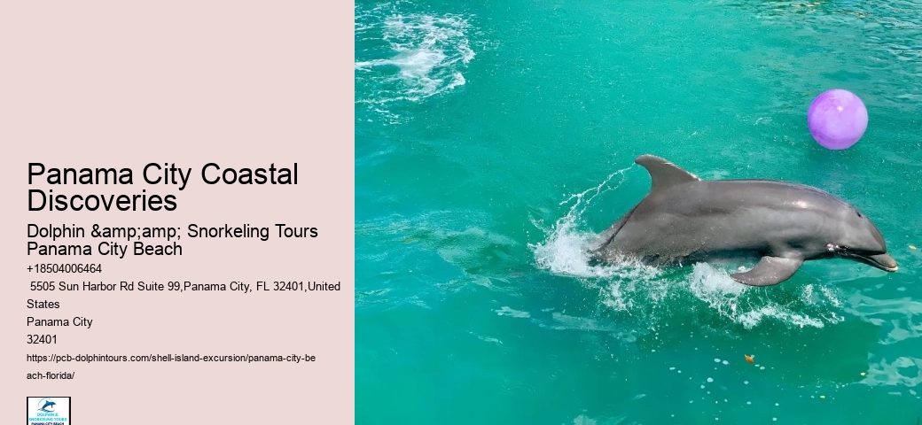  Shell Island Aquatic Oasis Tours
