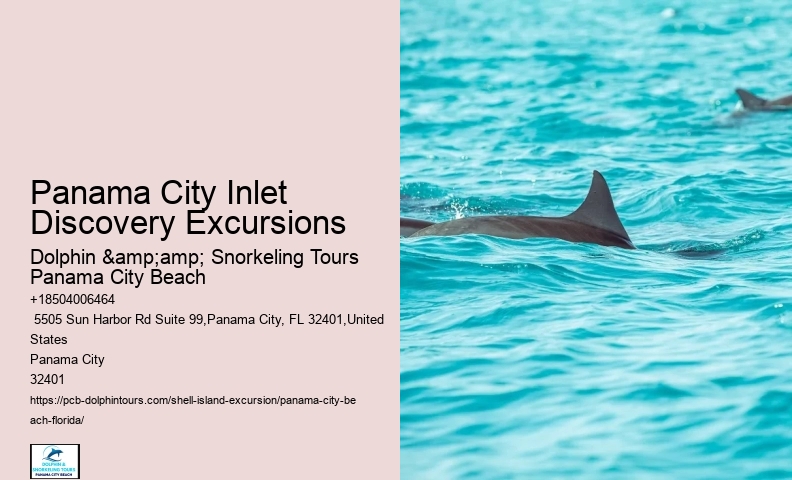  Shell Island Eco Tours Florida