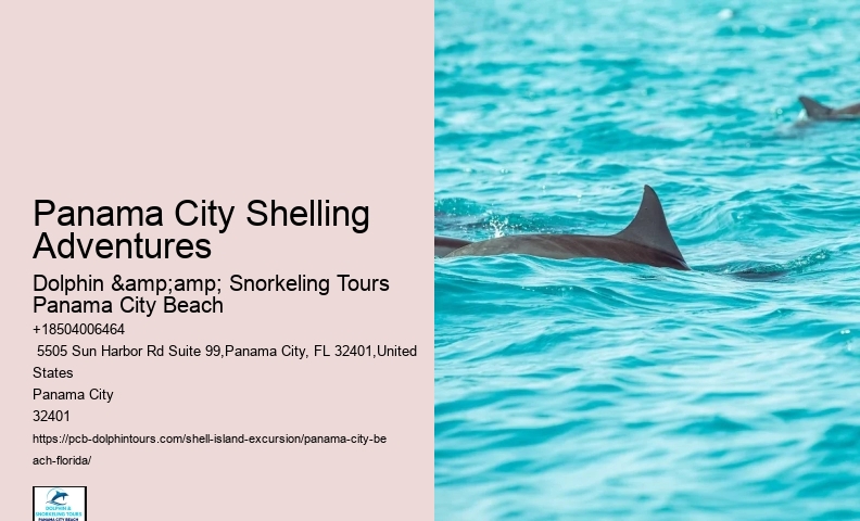  Shell Island Getaway