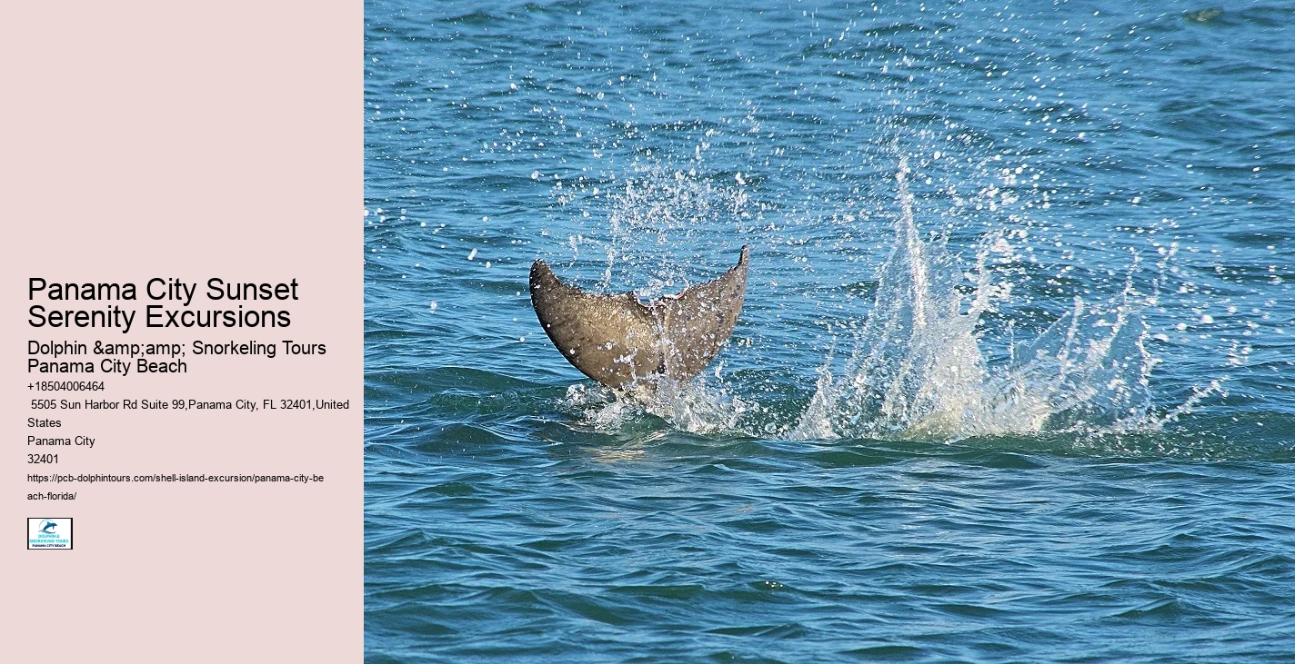  Panama City Watercraft Discovery Tours