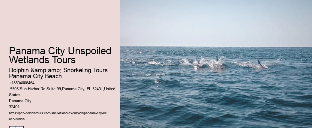  Shell Beach - All You Need To Know Before You Go