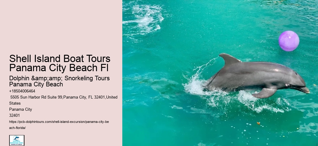  Excursions to Shell Island Panama City