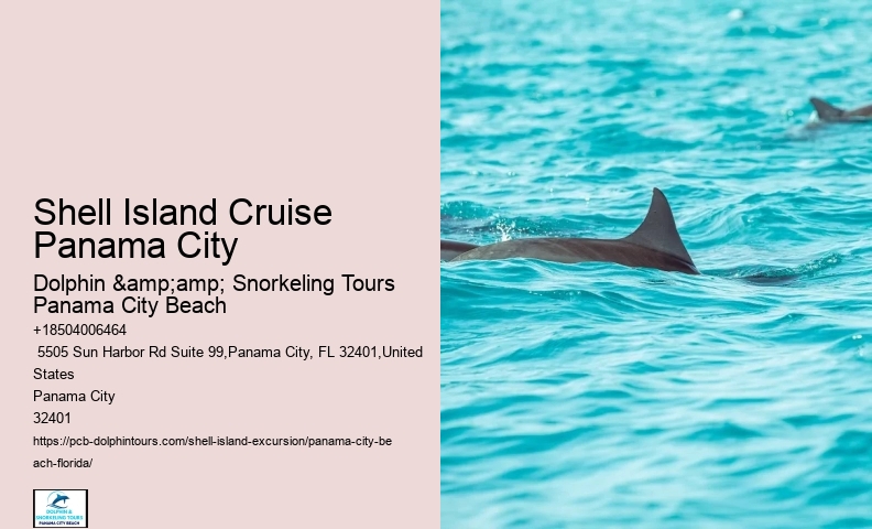 Shell Island Excursions Panama City Beach Florida