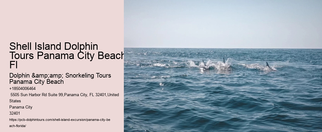  Shell Island - All You Need To Know Before You Go