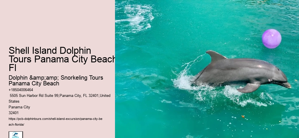  Shell Island Aquatic Bliss Tours FL