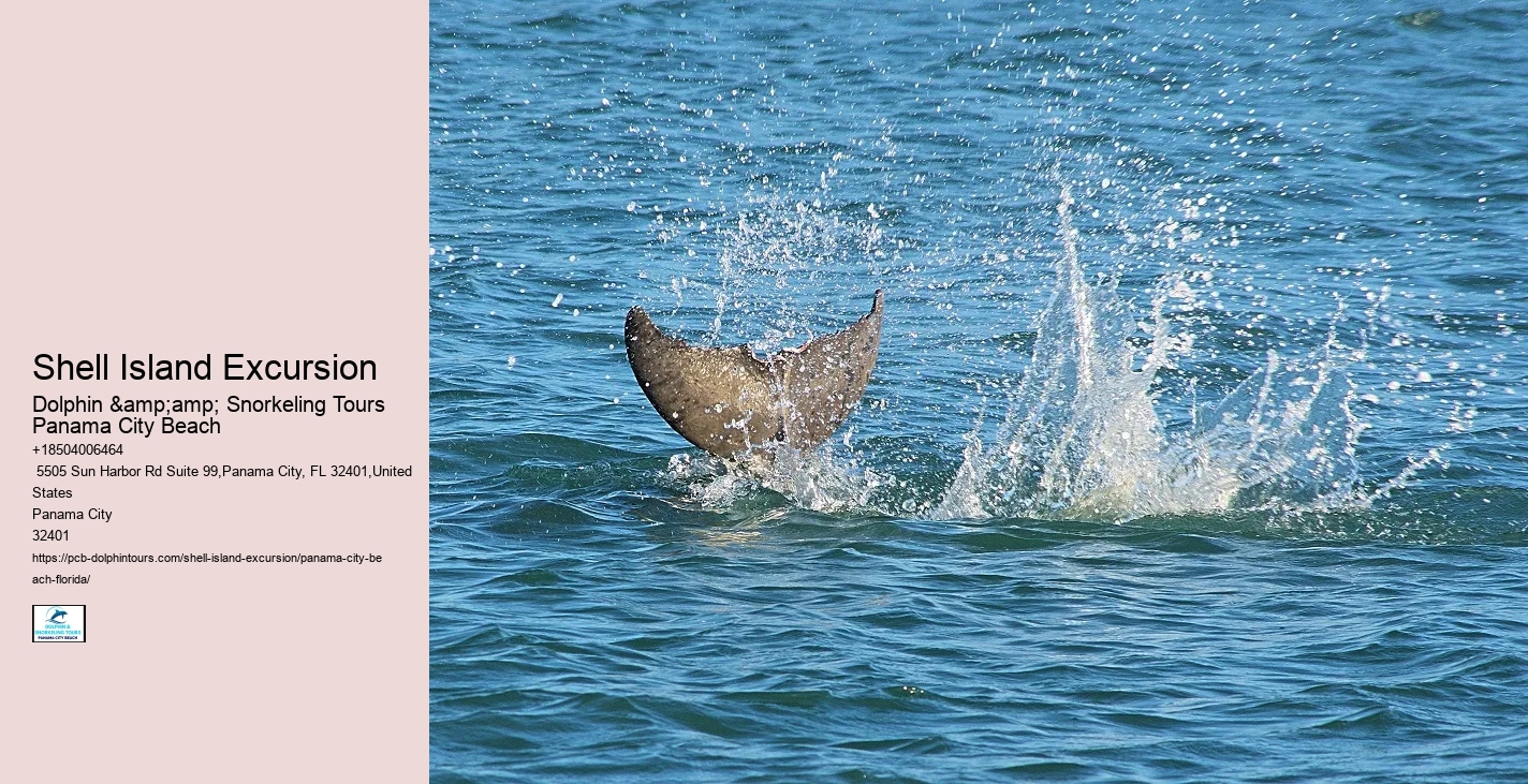  Panama City Beach's Shell Island | Pcb Dolphin Tours & More