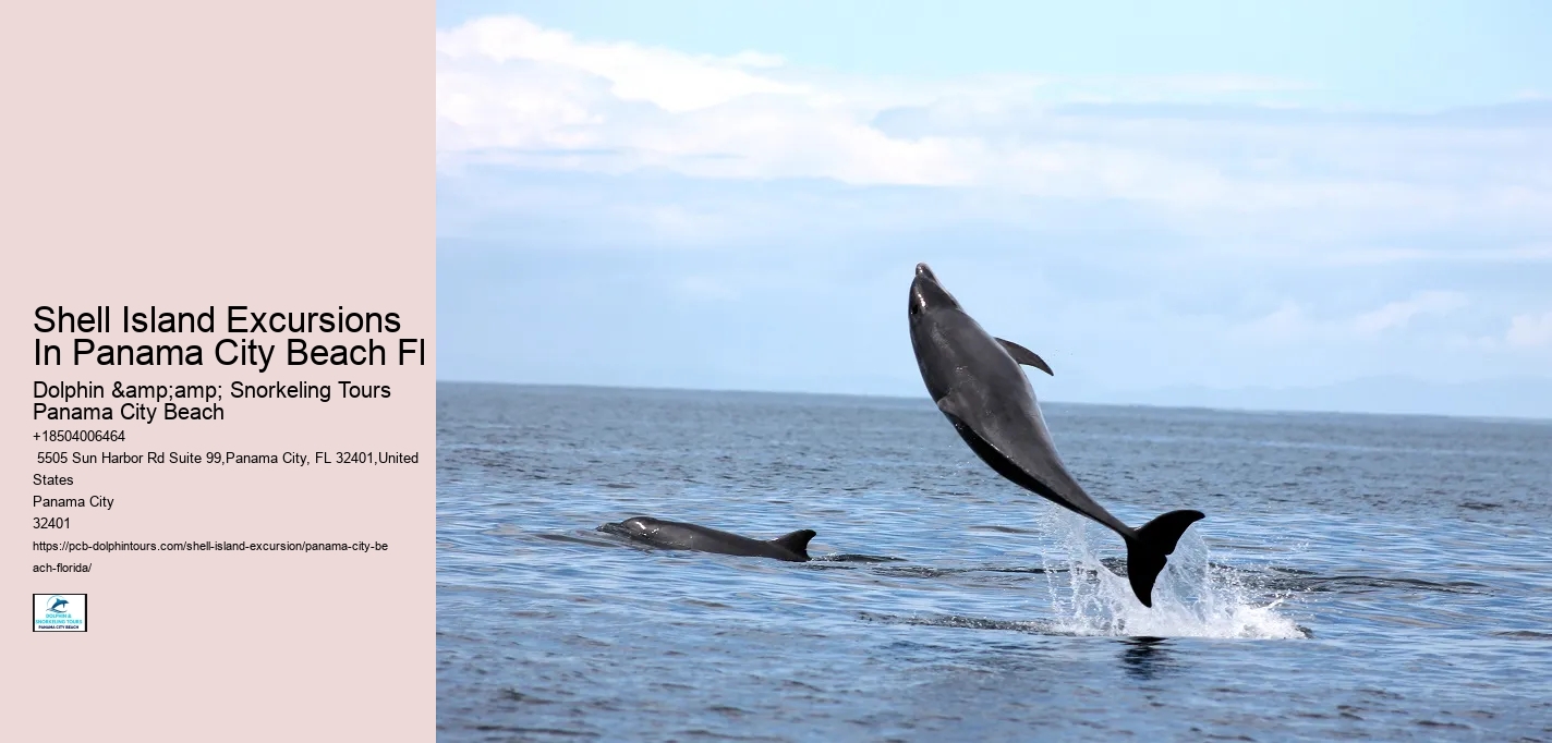  Coastal Paradise Panama City Excursions