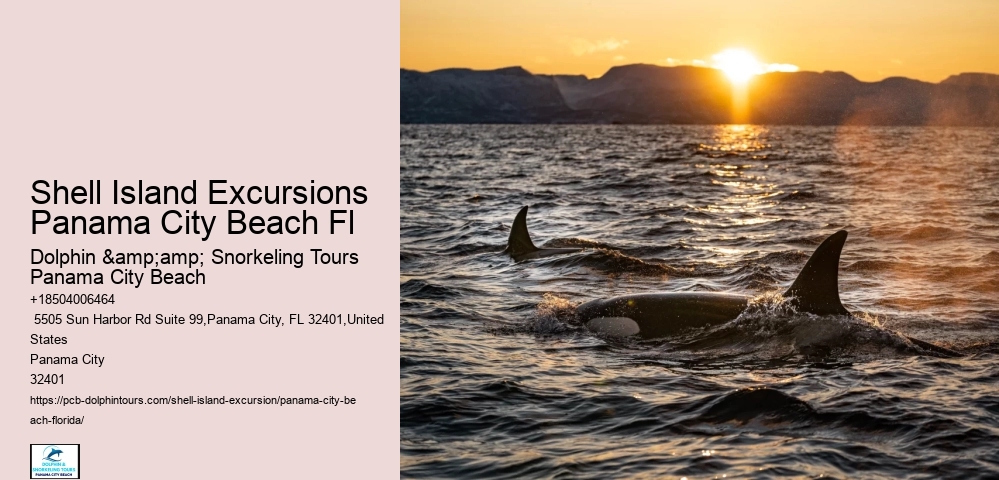  Shell Island Excursions