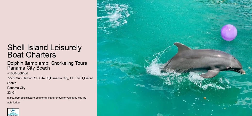  Inflatable Water Park Pcb Dolphin Boat Tour