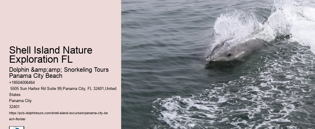  Shell Island Cruises Panama City Fl