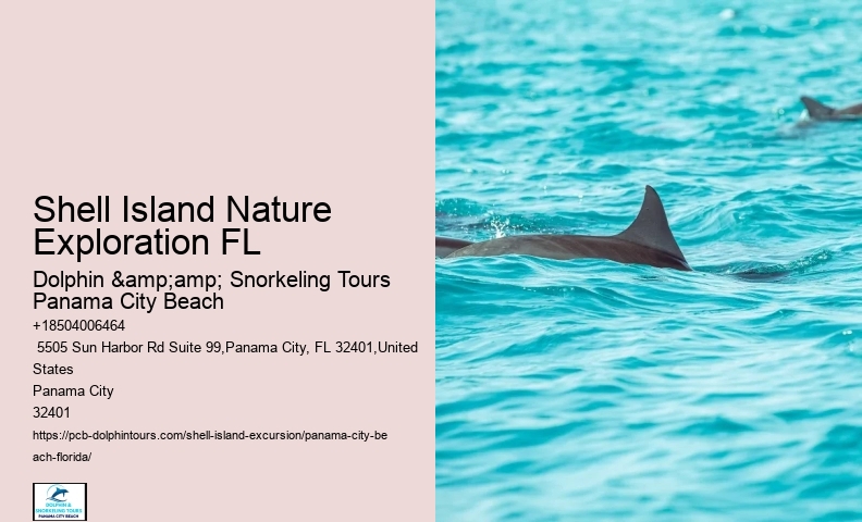  Seashell Collection Tours Panama City