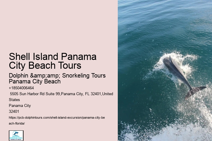  Boat Tours