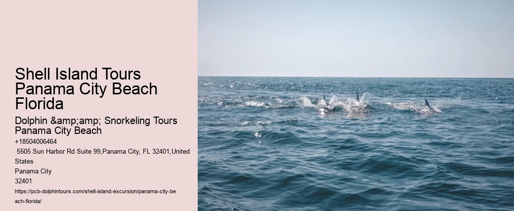  Ecotourism Discovery Panama City FL