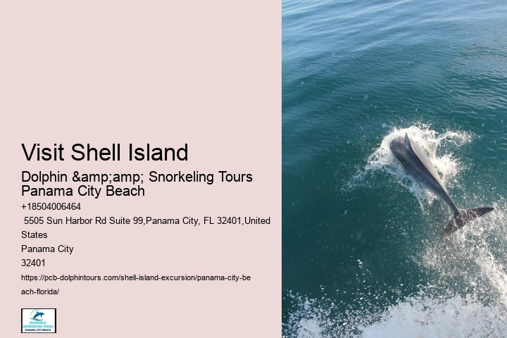  Where Is The Best Place To Snorkel In Panama City Beach