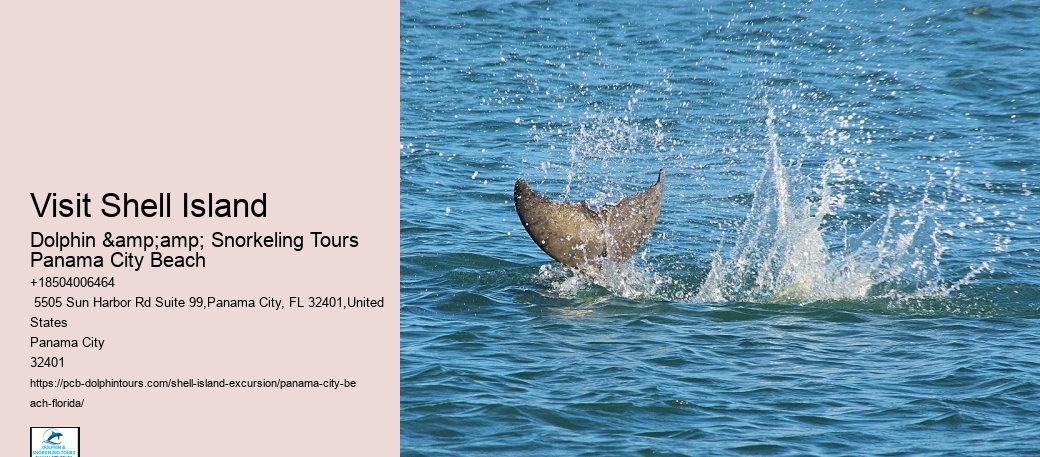  Shell Island Wildlife Tours FL