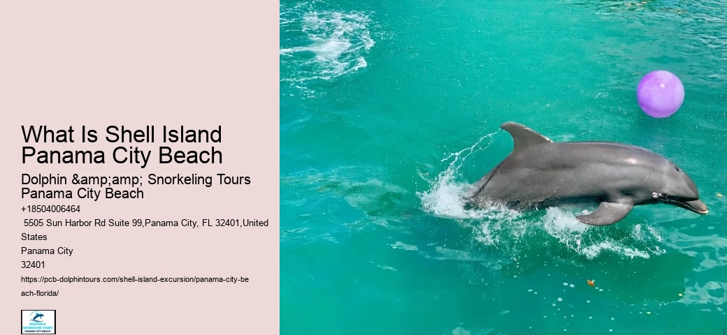  Beachfront Excursions Shell Island