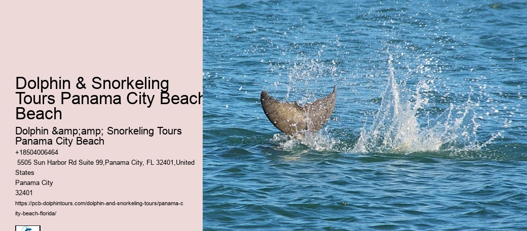 Panama City Beach Snorkeling Tours Tips
