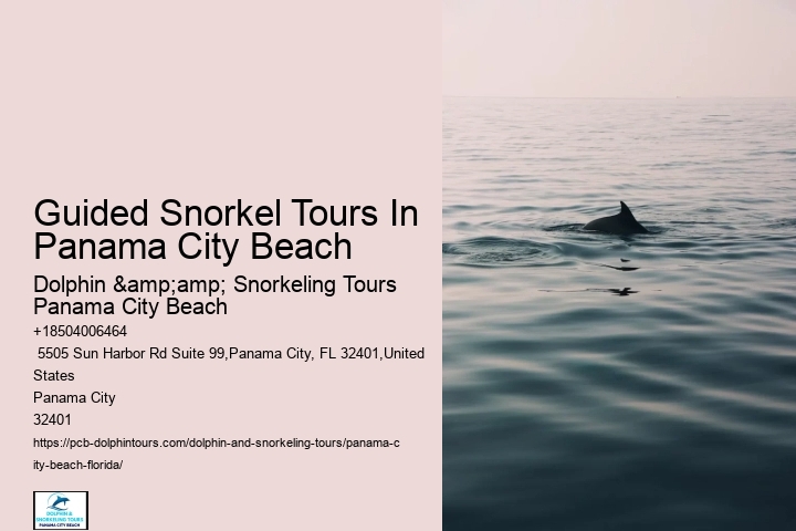 Panama City Beach Snorkel Boat Cruises