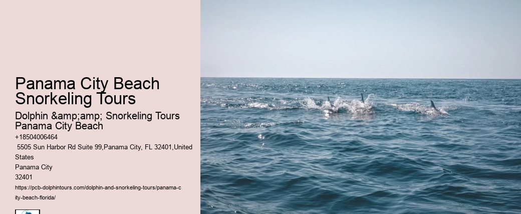 Panama City Beach Snorkel Discovery Tours