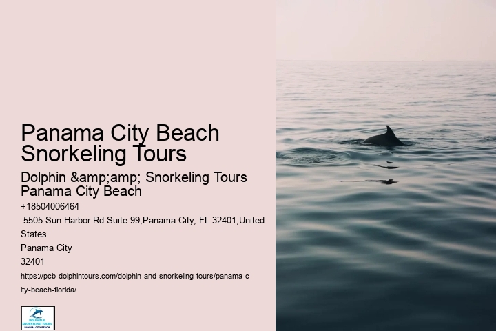 Panama City Beach Snorkeling Tours Cruise