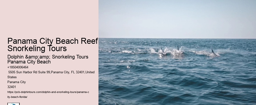 How Deep Are The Snorkeling Sites Visited On The Tours