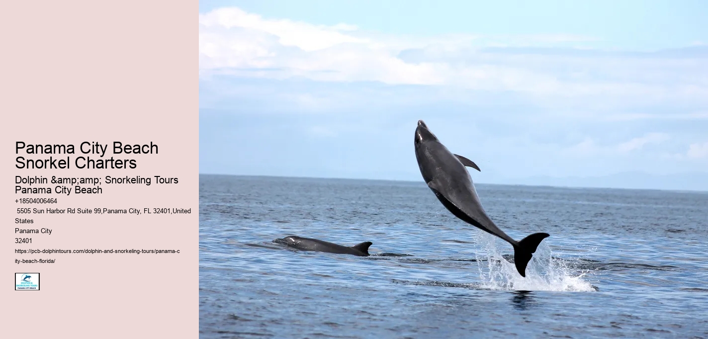 Panama City Beach Snorkel Charters