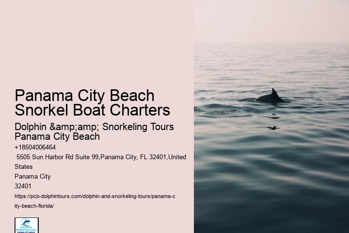 Snorkel Sightseeing Cruises In Pcb