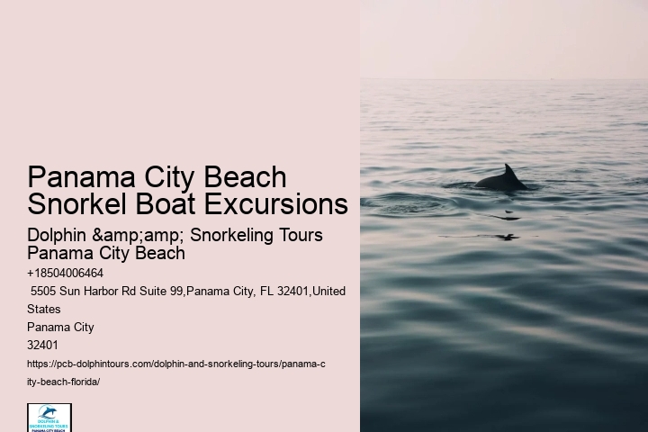 Are There Any Coral Reefs Near Panama City Beach Beach