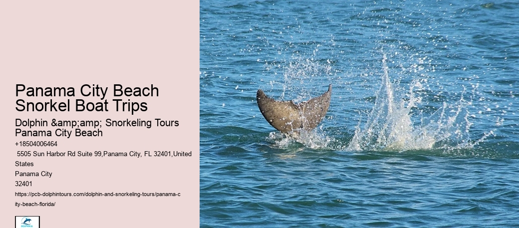 Panama City Beach Snorkeling Tours Zam