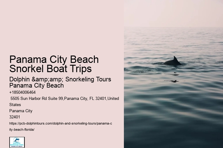 Are Food And Drinks Provided During The Snorkeling Tours