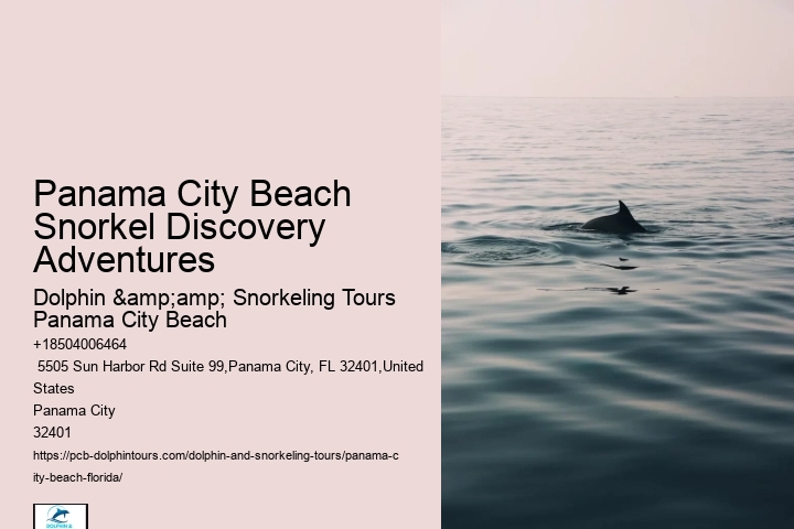 Panama City Beach Snorkel Discovery Voyages