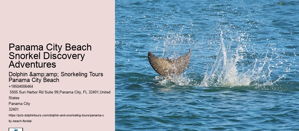 Snorkeling Trips Around Panama City Beach
