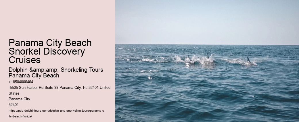 Panama City Beach Snorkeling Tours 6 Points
