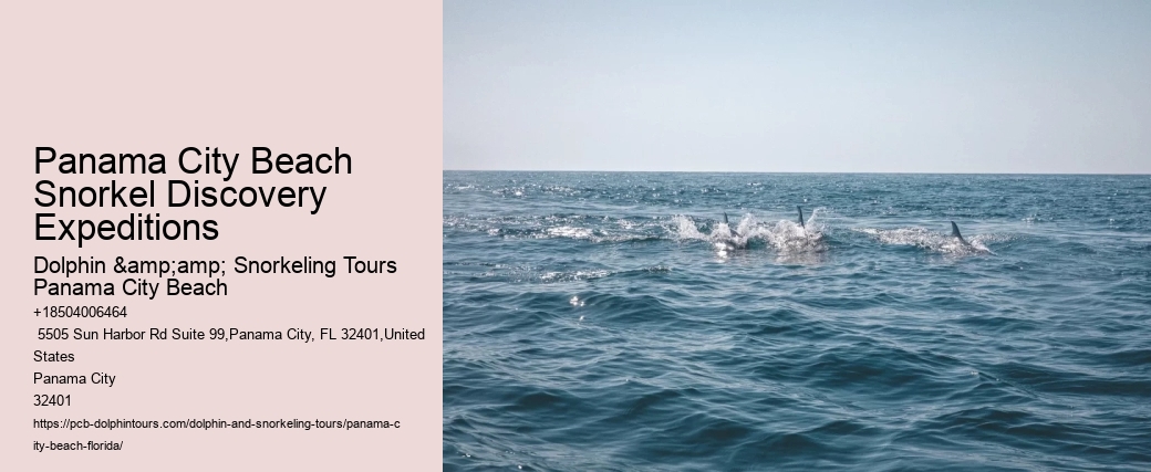 Panama City Beach Snorkeling Tours Cairns